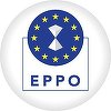 Primarul unei comune din judeţul Timiş, trimis în judecată după ce ar fi dat mită şi ar fi obţinut cu acte false 1,4 milioane de euro, bani europeni, pentru trei proiecte / Dosarul, instrumentat de Parchetul European