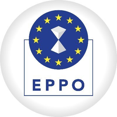 Primarul unei comune din judeţul Timiş, trimis în judecată după ce ar fi dat mită şi ar fi obţinut cu acte false 1,4 milioane de euro, bani europeni, pentru trei proiecte / Dosarul, instrumentat de Parchetul European
