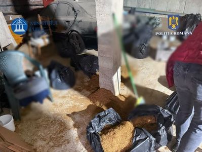 Percheziţii în Ilfov, la locuinţele unor persoane suspectate de evaziune fiscală în domeniul comerţului cu tutun/ Presupuşii contrabandişti ar fi vândut, timp de trei ani, aproximativ 15 tone de tutun prin comenzi telefonice sau online FOTO