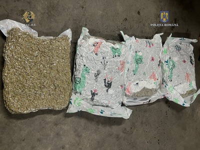Timişoara: Doi tineri au fost arestaţi preventiv după ce au introdus în România, cu ajutorul unei firme de curierat, 21 kilograme de cannabis