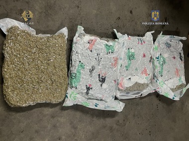 Timişoara: Doi tineri au fost arestaţi preventiv după ce au introdus în România, cu ajutorul unei firme de curierat, 21 kilograme de cannabis