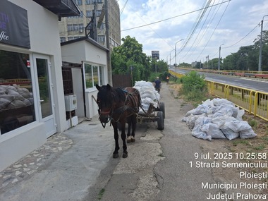 Amenzi de 4000 de lei pentru un ploieştean care îşi renovează casa şi care, în loc să încheie contract cu firma de salubritate, a chemat pe cineva să ia molozul cu căruţa - FOTO