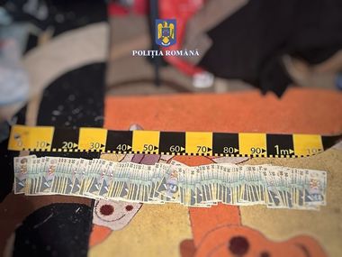 Trei bărbaţi suspectaţi că au furat 30.000 de euro din casa unui bătrân, unde au intrat sub pretextul că fac deratizare, au fost reţinuţi / O parte din bani a fost găsită ascunsă sub pământ - FOTO