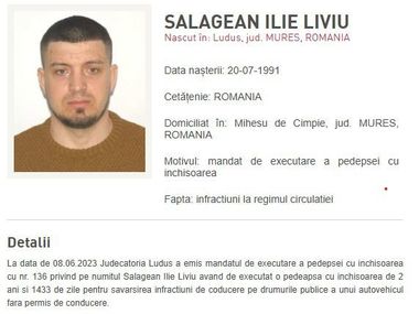 Bărbatul prins în Germania întrucât are condamnări pentru infracţiuni rutiere şi influenţarea declaraţiilor, adus în ţară vineri/ În trecut, el a fost condamnat pentru un omor comis împreună cu Emil Gânj, bărbatul care şi-a ucis iubita şi a incendiat casa