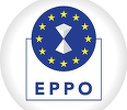 Peste 100 de percheziţii şi şapte arestări în ţări ale UE, inclusiv România, la cererea Parchetului European. Ancheta vizează o fraudă cu TVA în cazul unor electronice mici, în valoare de 48 de milioane de euro/ cum funcţiona schema