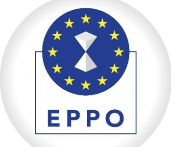 Peste 100 de percheziţii şi şapte arestări în ţări ale UE, inclusiv România, la cererea Parchetului European. Ancheta vizează o fraudă cu TVA în cazul unor electronice mici, în valoare de 48 de milioane de euro/ Cum funcţiona schema