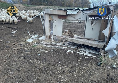 Iaşi: Doi bărbaţi au fost reţinuţi după ce au exploatat două persoane să muncească în folosul lor, ţinându-le în condiţii degrandante, fără apă şi electricitate