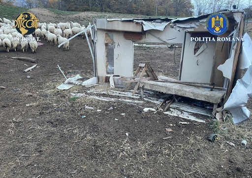 Iaşi: Doi bărbaţi au fost reţinuţi după ce au exploatat două persoane să muncească în folosul lor, ţinându-le în condiţii degrandante, fără apă şi electricitate