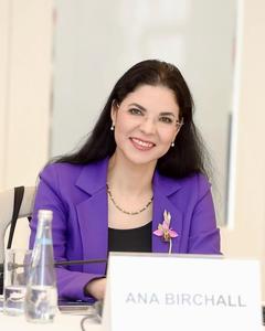 Ana Birchall: Oana Gheorghiu poate sesiza, la rândul ei, organele de urmărire penală pentru inducerea în eroare a organelor judiciare / Doar preşedintele României poate cere urmărirea penală