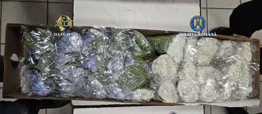 Patru bărbaţi suspectaţi că au adus din Columbia cocaină impregnată în cartoane de flori, trimişi în judecată / În depozitul din judeţul Braşov unde au fost duse cartoanele, poliţiştii au mai găsit un laborator clandestin de droguri sintetice - FOTO