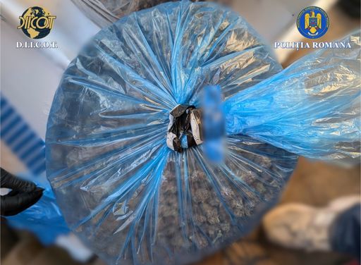 Procurorii DIICOT au reţinut doi bărbaţi, suspectaţi de trafic internaţional de droguri / Au fost prinşi când ridicau un colet, adus din Spania de către o firmă de curierat
