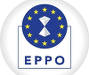 Percheziţii ale procurorilor Parchetului European la Timişoara, la locuinţa prefectului de Timiş/ Posibilă fraudă cu fonduri europene/ Prejudiciul s-ar ridica la câteva sute de mii de euro/ Reacţia prefectului
