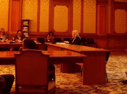 Irina Radu şi Monica Ghiurco audiate în comisiile de cultură pentru postul de director general al TVR - surse