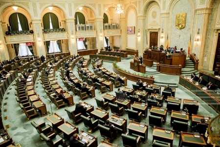 27 de iniţiative legislative trec luni tacit de Senat
