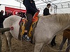 Cioloş a oferit o şa tradiţională mongolă unei ferme din Cluj: O societate îşi demonstrează gradul de evoluţie şi prin felul în care tratează animalele