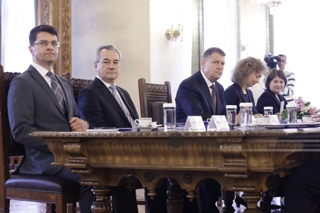 Iohannis a chemat partidele la o prima rundă de consultări pentru formarea Guvernului. PSD şi ALDE au refuzat invitaţia