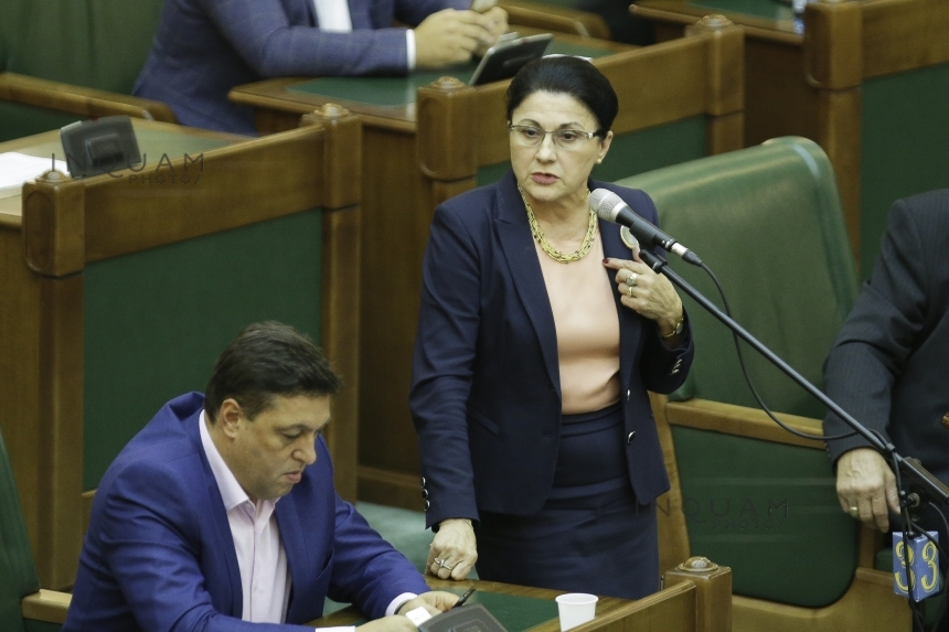Ecaterina Andronescu, singurul senator care a votat împotriva respingerii OUG 13