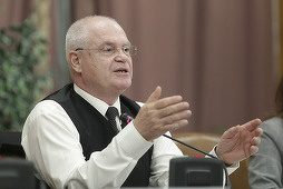 Proiect PSD: Referendumul nu poate fi convocat pe teme care ţin de competenţa exclusivă a Parlamentului. Dragnea: Iniţiativa nu este susţinută în partid, dar Parlamentul trebuie să aibă dreptul de a convoca referendum. UPDATE