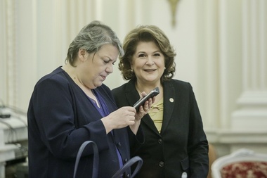 Surse: Miniştrii Sevil Shhaideh, Rovana Plumb şi Răzvan Cuc şi-au anunţat demisiile în şedinţa CEx al PSD, urmează votul
