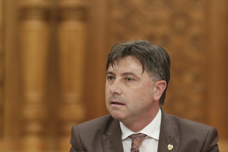 Ministrul pentru Relaţia cu Parlamentul Viorel Ilie rămâne în funcţie
