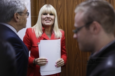 Udrea, despre Coldea: Na, ca femeie văd, se îmbracă în Vuitton