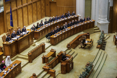 Viorica Dăncilă, în plenul reunit: Calea pe care trebuie să mergem este să creştem salariile. În 2020, salariul minim net pe economie va depăşi 300 de euro