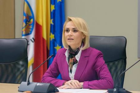 Firea: Este sinucidere politică faptul că în PSD sunt frământări care nu au o motivaţie foarte clară. Dragnea: Criticile nu mă vizează