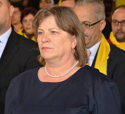 Norica Nicolai: Foarte multe partide, chiar prietene, mimează democraţia, simulează bătălia pentru libertate