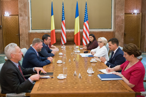 Premierul Dăncilă s-a întâlnit cu o delegaţie a Congresului SUA