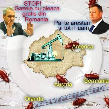 Liviu Pop spune că postarea în care SUA, Germania, Austria şi Olanda apar drept gândaci nu îi aparţine, ci a fost preluată de pe un site, el declarându-se “prooccidental”