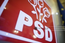 Filiala PSD Mureş îl susţine pe Dragnea la şefia PSD, \