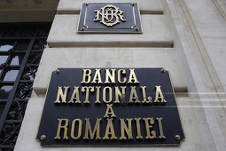 PSD: Solicităm BNR să îşi facă datoria şi să apere moneda naţională - VIDEO