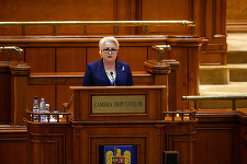 UPDATE - Bugetul de stat pe 2019 a fost votat de Parlament/ Dăncilă: Bugetul reflectă realitatea economică şi socială din din România. E un buget realist şi cu perspectivă de dezvoltare 