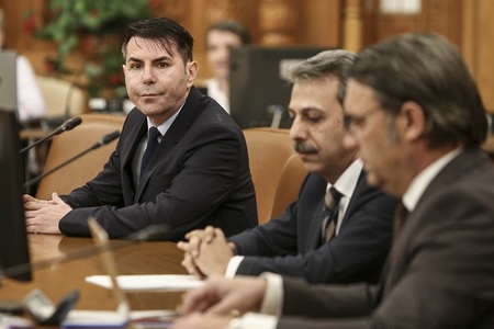 UPDATE - Gheorghe Stan şi Cristian Deliorga, propuşi de PSD, validaţi pentru Curtea Constituţională - VIDEO