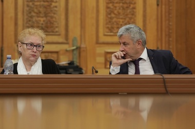 Renate Weber, întrebată despre atacarea OUG de către Avocatul Poporului: În fiecare situaţie urmează o analiză pe care o face intern instituţia