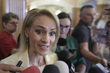 Firea, despre alegerile prezidenţiale: Mi-aş dori foarte mult să nu fie doar o participare formală, să facem figuraţie, să bifăm că ne-am înscris şi în aceste alegeri