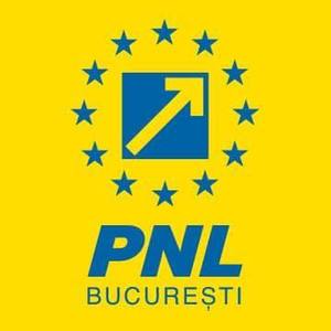 PNL Bucureşti: 400 de minori dispar anual din România şi nimeni nu ştie nimic de ei; organizaţia va depune pe scările MAI 400 de perechi de încălţăminte, sâmbătă, la ora 11.05, ora primului apel al Alexandrei la 112 