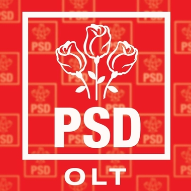 Conducerea PSD Caracal, dizolvată, întrucât ”a fost încălcat frecvent şi grav orice principiu al dialogului” în cadrul organizaţiei