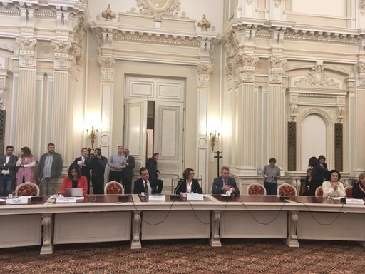 Adina Vălean: Am primit undă verde de la Parlamentul României cu 25 de voturi ”pentru”; tot azi, Comisia JURI a validat candidatura mea în unanimitate