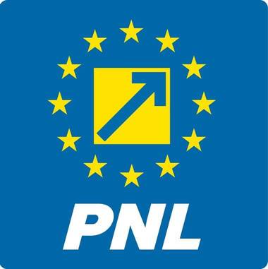 PNL a realizat un ghid sanitar pentru campania electorală la alegerile locale