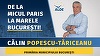 Tăriceanu şi-a lansat programul de candidatură „De la Micul Paris, la Marele Bucureşti”. Liderul ALDE propune subvenţii pentru montarea centralelor individuale de apartament şi gratuitatea transportului în comun