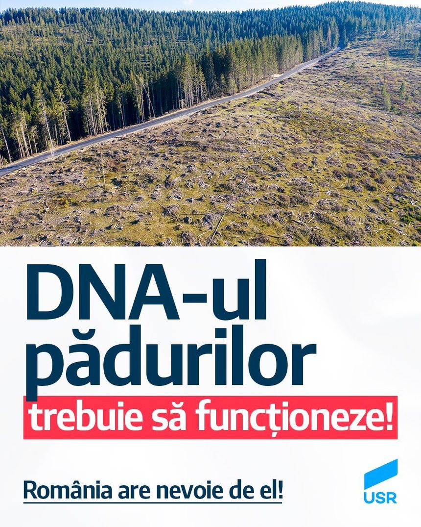 USR: Decizia CCR de a admite sesizarea Guvernului privind înfiinţarea unul DNA al pădurilor, tristă şi de natură a provoca îngrijorare faţă de soarta pădurilor din România