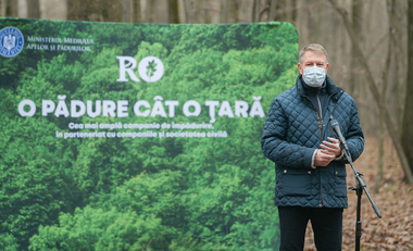 Iohannis, despre campania „O pădure cât o ţară”: S-au plantat 50 de milioane de puieţi pe diverse terenuri, în zone montane, în zone de câmpie. În jur de 3.000 de parcele s-au plantat de la zero. E un rezultat notabil