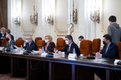 Comisiile de specialitate ale Parlamentului au avizat favorabil mai mulţi diplomaţi, printre care fostul ambasador la Londra Dan Mihalache, propus pentru Cipru, şi ambasadorul propus pentru Federaţia Rusă