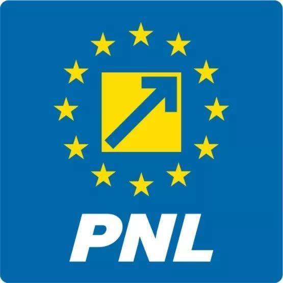 PNL Buzău îşi arată susţinerea pentru Ludovic Orban la conducerea partidului: Principala preocupare trebuie să fie actul de guvernare, iar aceste momente cer unitate, clarviziune, hotărâri ferme şi asumate 