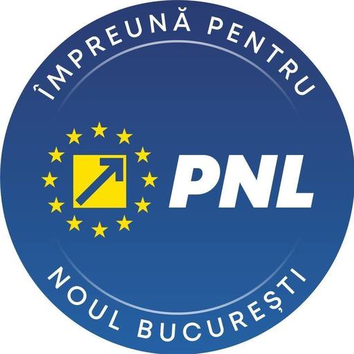 UPDATE - PNL Sector 1, zece întrebări şi un mesaj pentru primarul Sectorului 1: Campania electorală s-a încheiat. E momentul să vă ocupaţi de problemele reale ale sectorului/ Răspunsul primarului 