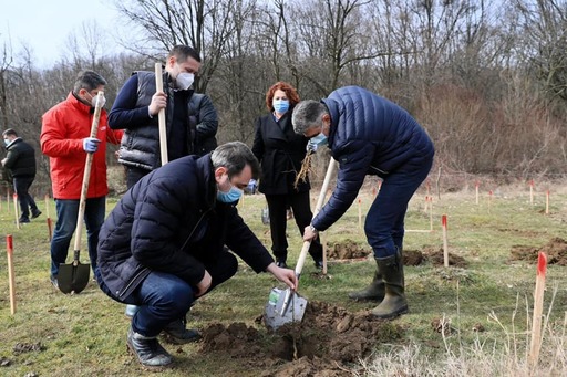 Marcel Ciolacu a plantat arbori în Dâmboviţa de Ziua Internaţională a Pădurilor / Liderul PSD: Trebuie să creştem suprafeţele împădurite şi să oprim definitiv tăierile ilegale - FOTO