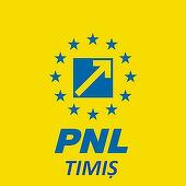 UPDATE După ce Alin Nica a anunţat suspendarea alegerilor la PNL Timişoara, o nouă comisie a fost formată. Raul Ambruş a fost ales preşedinte al filialei
