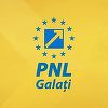 PNL Galaţi anunţă că susţinerea candidatului pentru funcţia de preşedinte al partidului încă se dezbate, părerile fiind împărţite / Unii dintre aleşii formaţiunii îl susţin pe Ludovic Orban, alţii pe Florin Cîţu / Decizia finală, în 17 septembrie