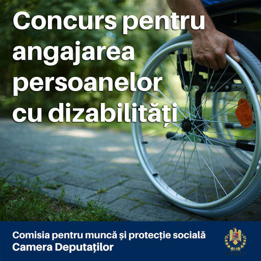 Camera Deputaţilor organizează primul concurs pentru angajarea unei persoane cu dizabilităţi, la comisia de muncă. Oana Ţoiu: În 12 judeţe, niciuna din instituţiile publice nu îşi îndeplineşte cota de angajare